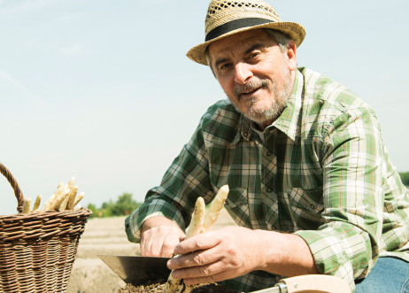 Model: Hellmuth 23750