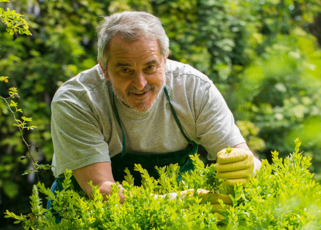 Model: Hellmuth 23751