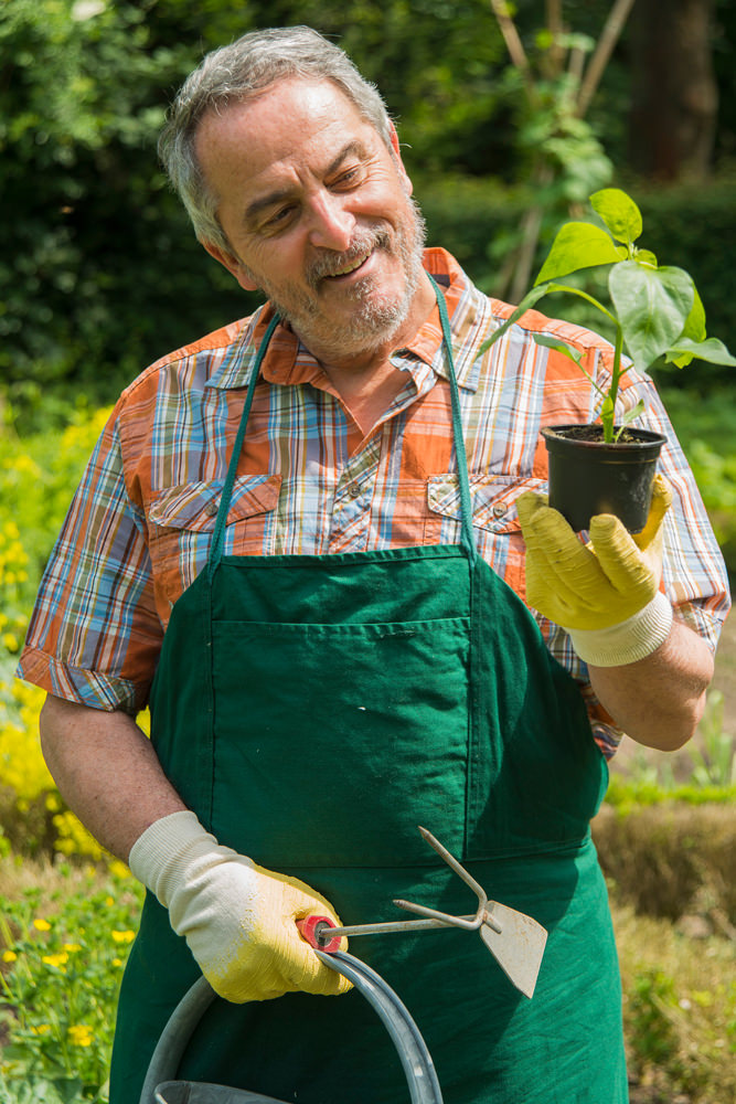 Model: Hellmuth 23759