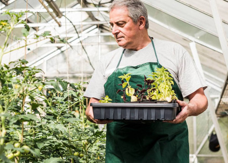 Model: Hellmuth 52159