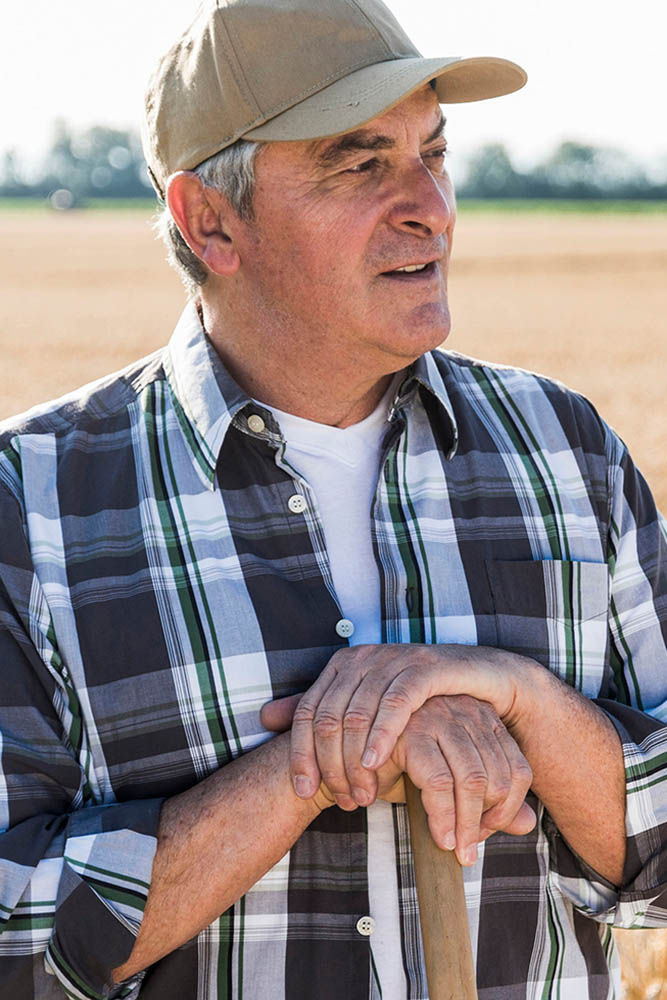 Model: Hellmuth 52160