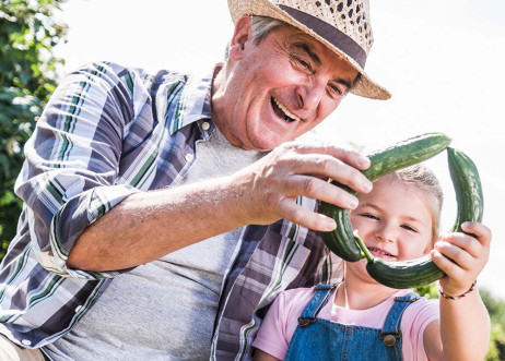 Model: Hellmuth 52161