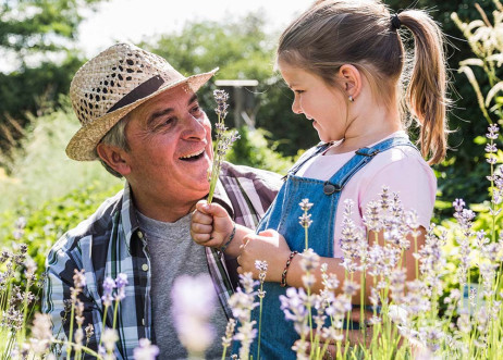 Model: Hellmuth 52162