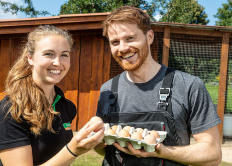 Model: Steffen 91488