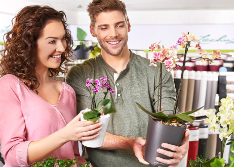 Model: Philipp 54749