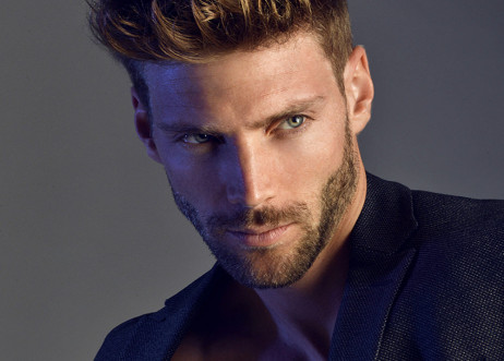 Model: Philipp 66099