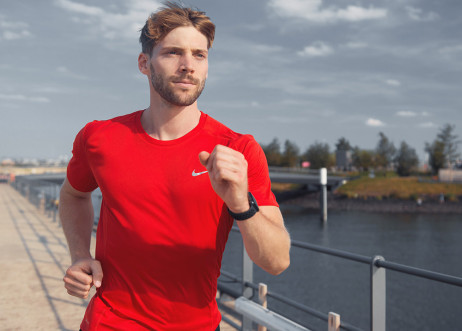 Model: Philipp 66205