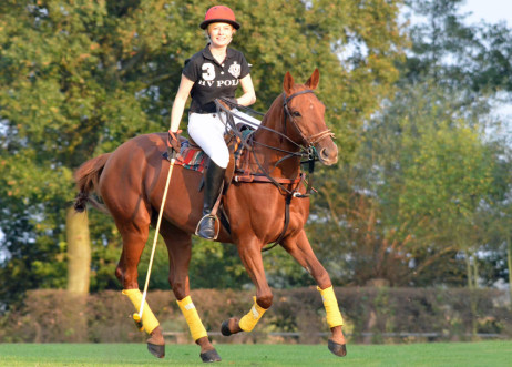 Model: Susanne 26813