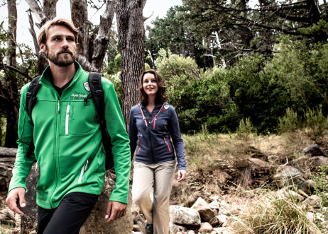 Model: Constanze 42505