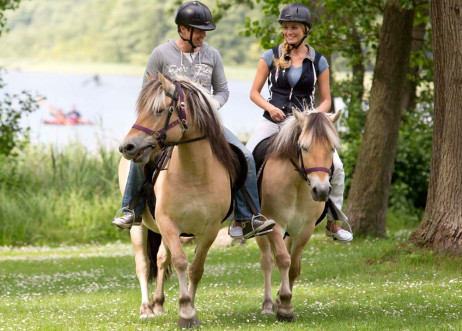 Model: Matthias 36941