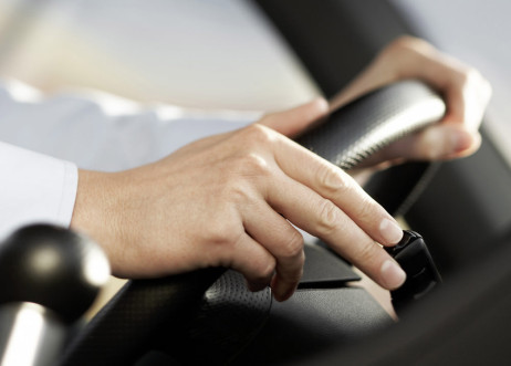 Model: Matthias 36959