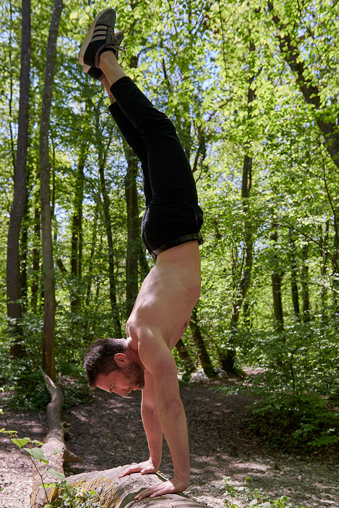 Model: Matthias 62486