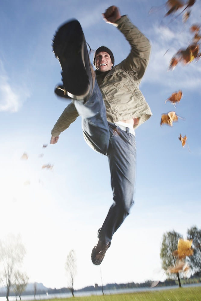 Model: Sebastian 25950