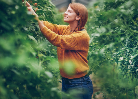 Model: Franziska 91982