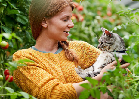 Model: Franziska 91994