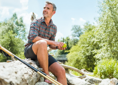 Model: Steffen 61961