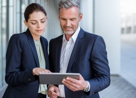 Model: Steffen 61966