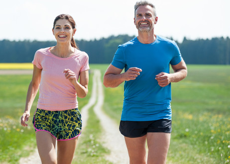 Model: Steffen 61973