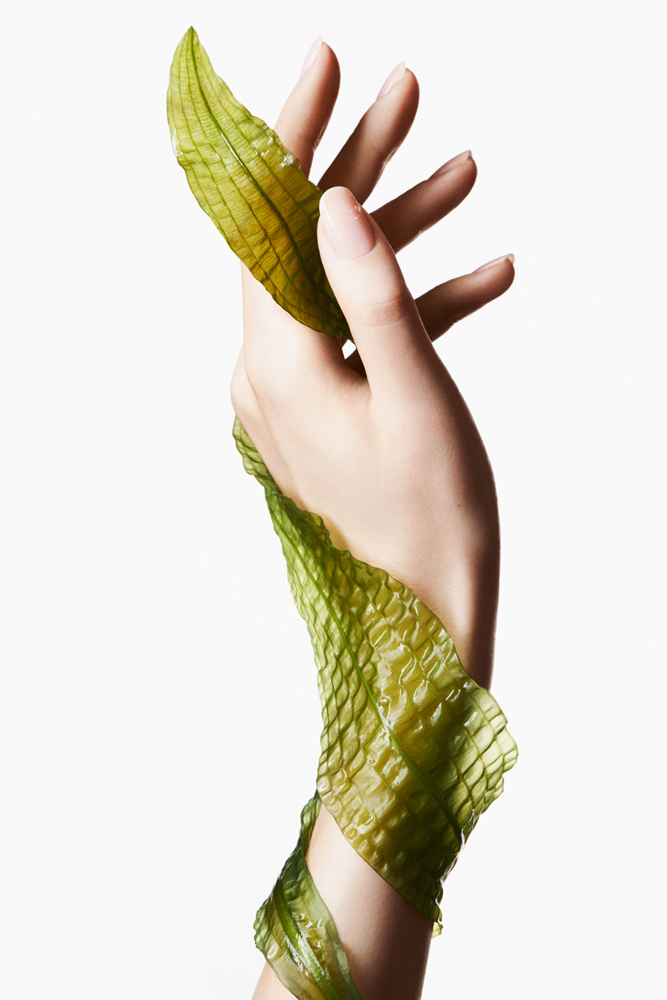 Model: Sigrid 35147