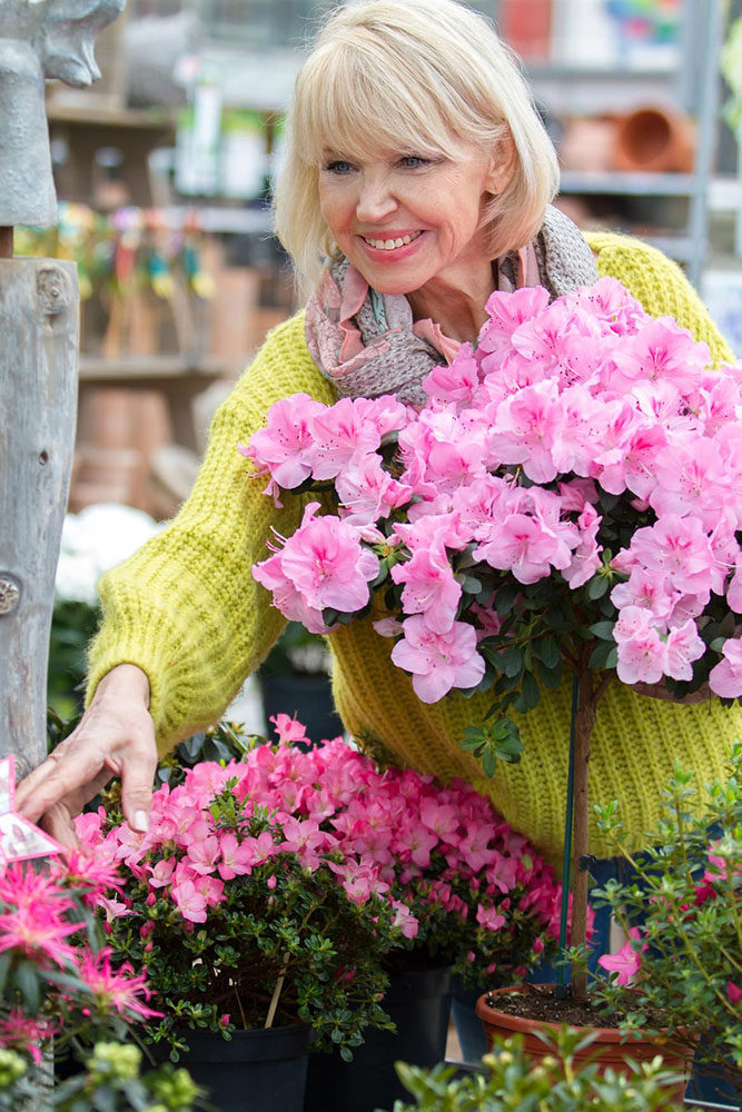 Model: Claudia 113819