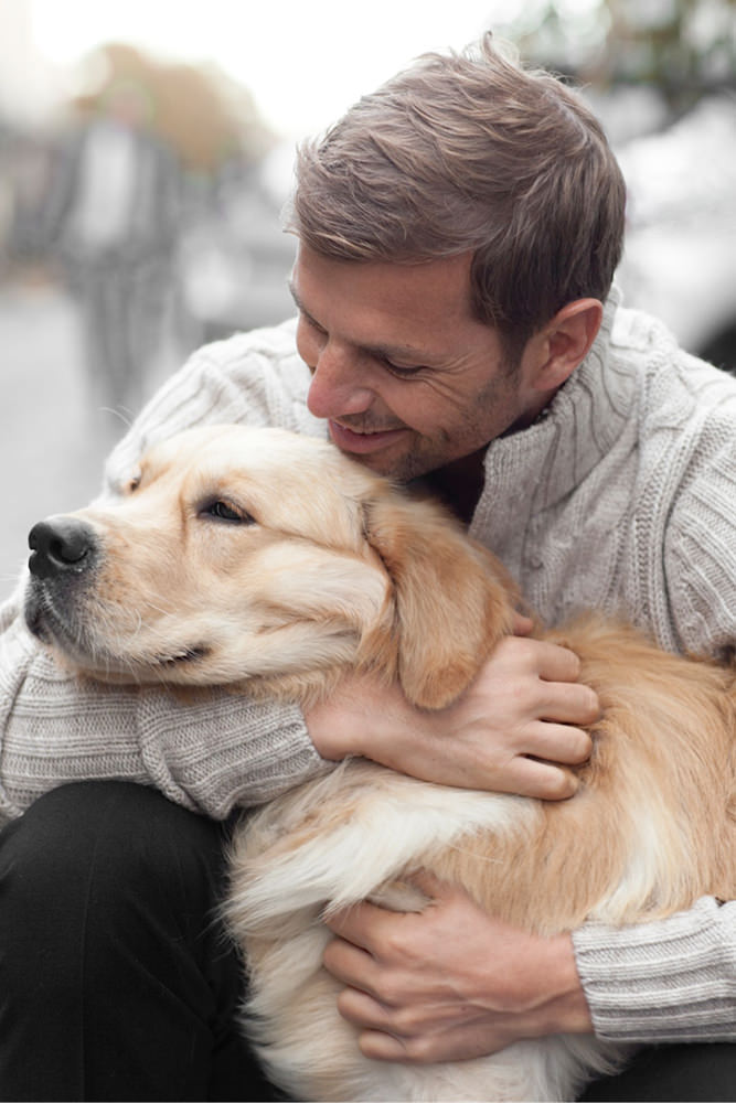 Model: Francisco 37455