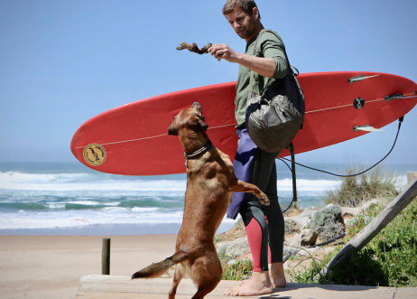 Model: Francisco 61077