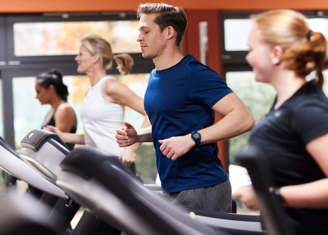 Model: Steffen 99915