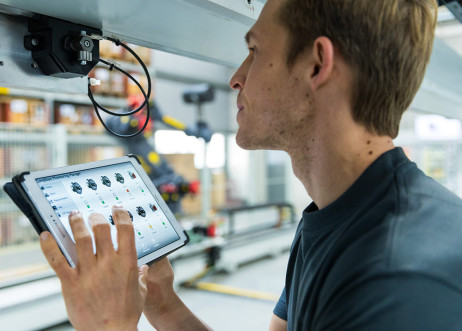 Model: Steffen 67966