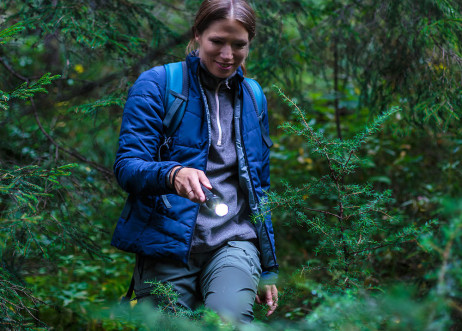 Model: Sabine 117468