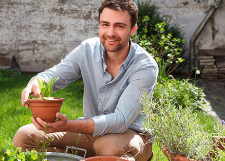 Model: Alexander 50443