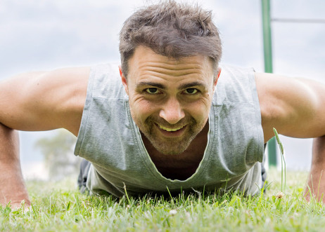 Model: Alexander 50493