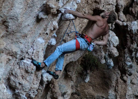 Model: Johannes 59447