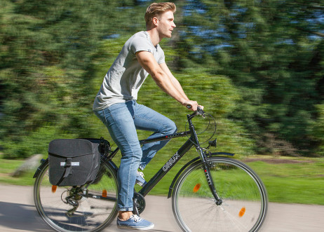 Model: Bastian 66761