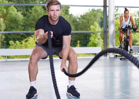 Model: Bastian 66762