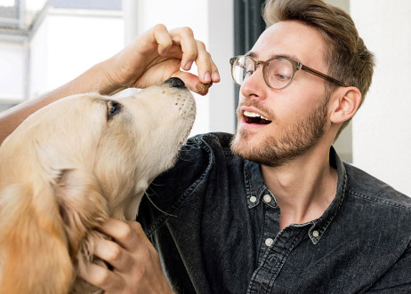 Model: Leonard 67026