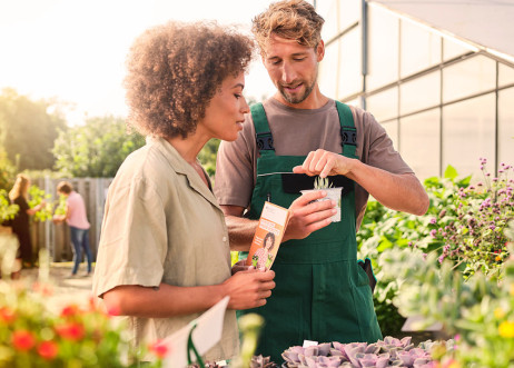 Model: Philipp 110356