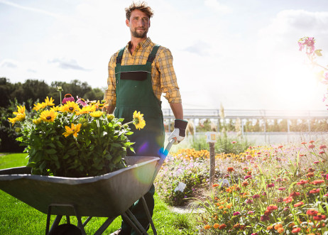 Model: Philipp 110362