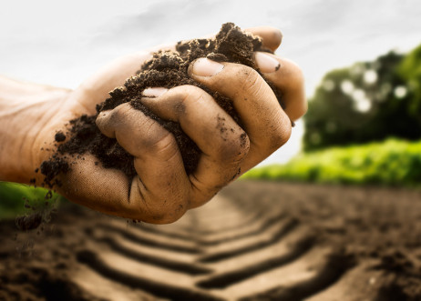 Styling: Doro Plattner 974