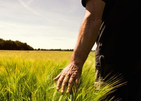 Styling: Doro Plattner 978